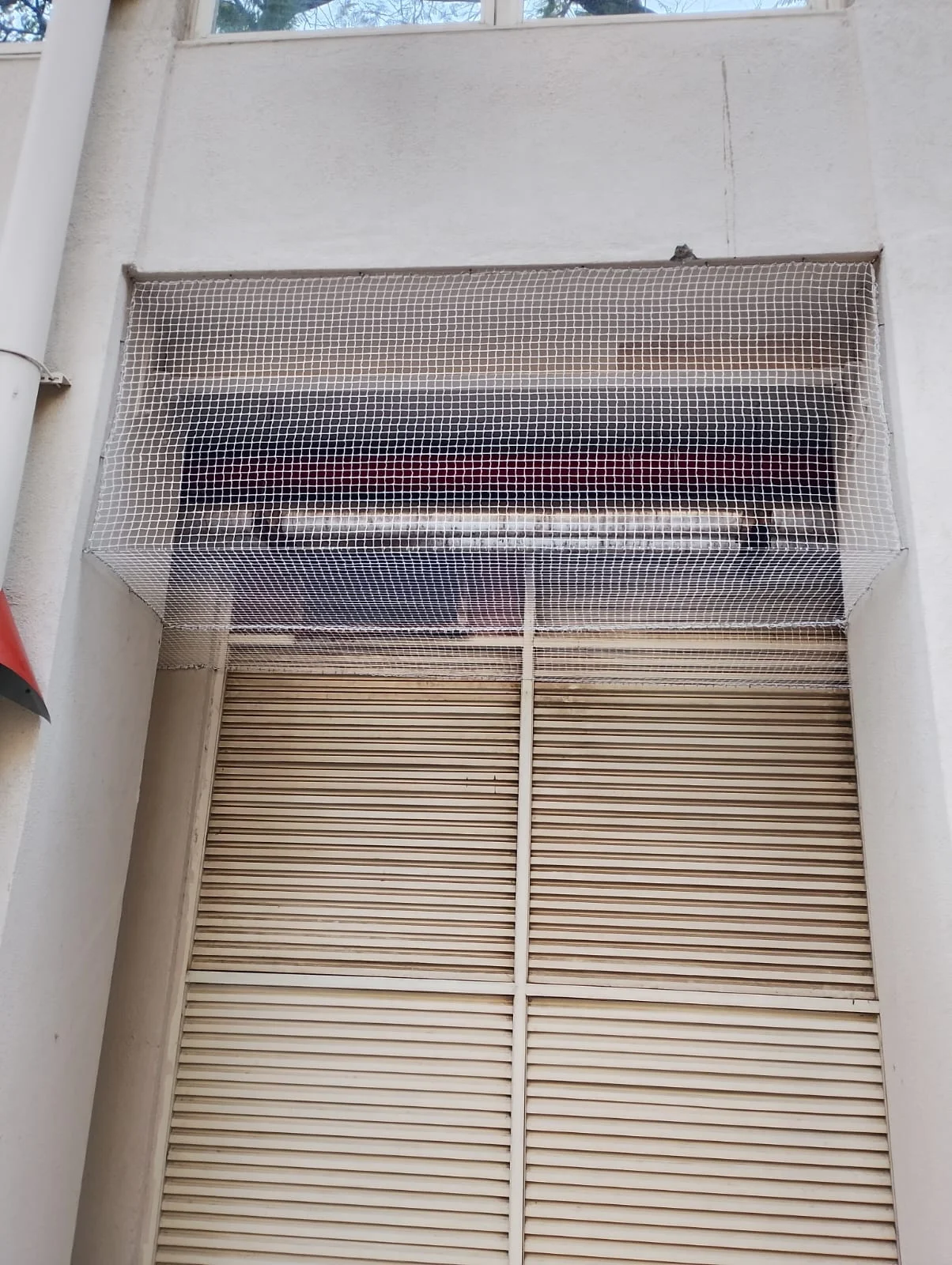 Untitled design (77)